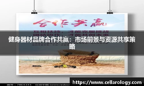 健身器材品牌合作共赢：市场前景与资源共享策略