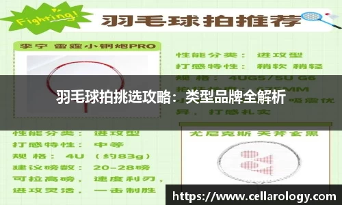 羽毛球拍挑选攻略：类型品牌全解析