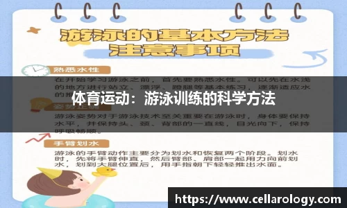 体育运动：游泳训练的科学方法